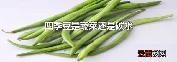 四季豆是蔬菜还是碳水