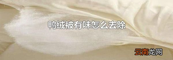 鸭绒被有味怎么去除