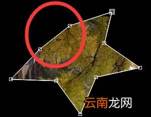 After effect中使用以及调整遮罩工具具体操作步骤