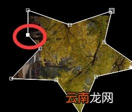 After effect中使用以及调整遮罩工具具体操作步骤