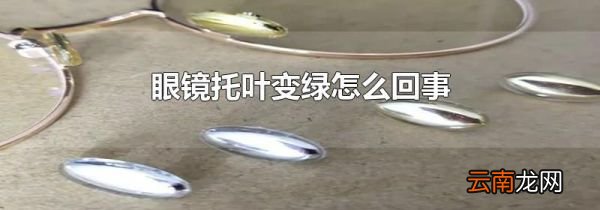 眼镜托叶变绿怎么回事