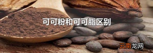 可可粉和可可脂区别