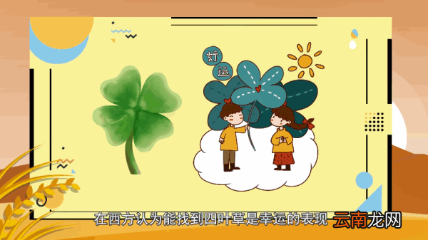 四叶草花语 四叶草花语是什么