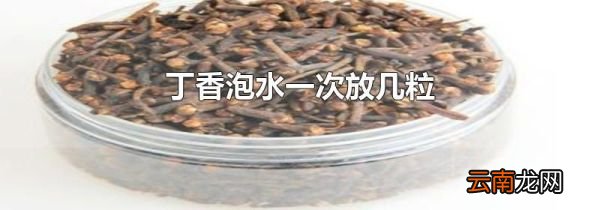 丁香泡水一次放几粒