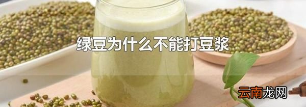 绿豆为什么不能打豆浆