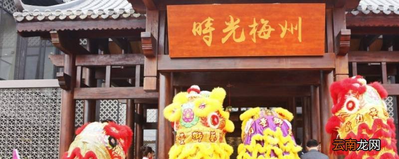 开业采青要挂什么菜