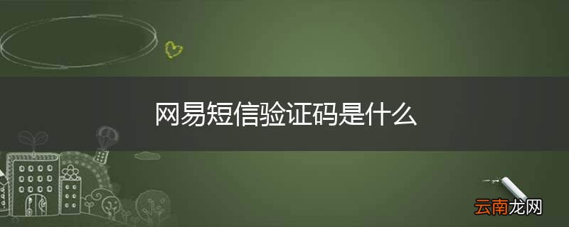 网易短信验证码是什么