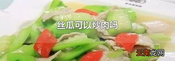 丝瓜可以炒肉吗