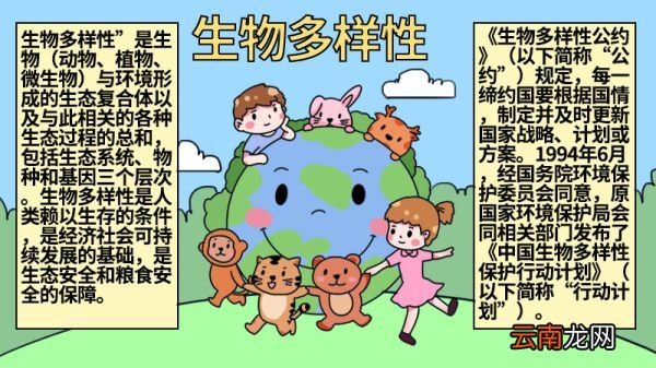 生物多样性手抄报图片 生物多样性手抄报怎么画