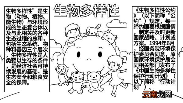 生物多样性手抄报图片 生物多样性手抄报怎么画