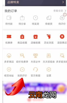 拼多多中找到自己评价位置具体操作步骤