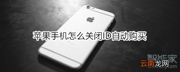 苹果手机怎么关闭ID自动购买