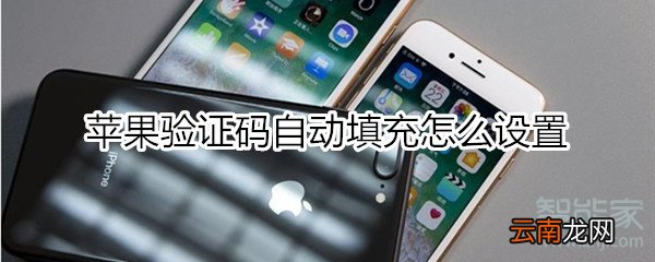 苹果验证码自动填充怎么设置