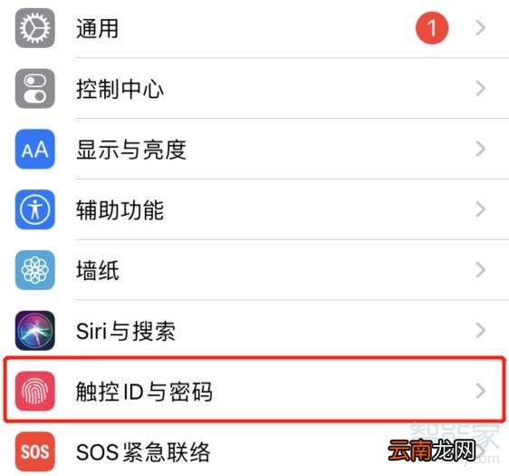 苹果验证码自动填充怎么设置