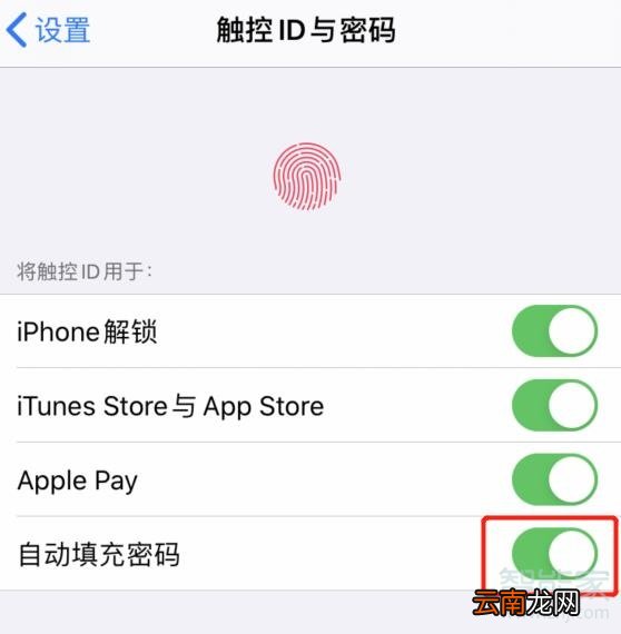 苹果验证码自动填充怎么设置