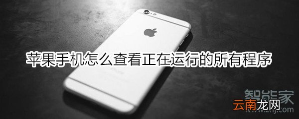 苹果手机怎么查看正在运行的所有程序