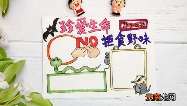 禁止吃野生动物手抄报 禁止吃野生动物手抄报画法