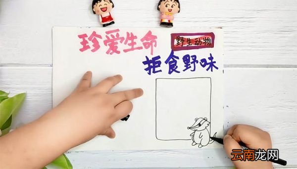 禁止吃野生动物手抄报 禁止吃野生动物手抄报画法
