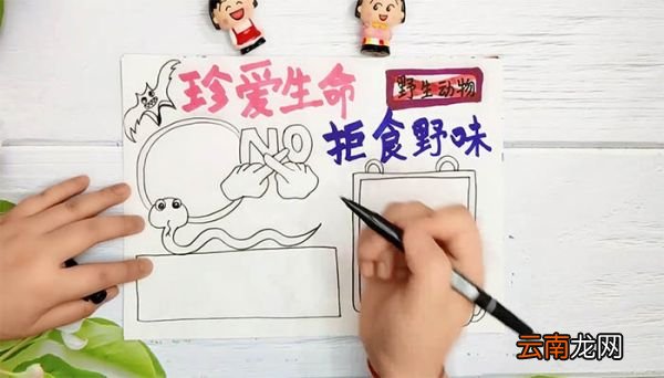 禁止吃野生动物手抄报 禁止吃野生动物手抄报画法