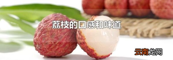 荔枝的口感和味道