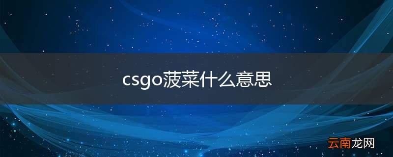 csgo菠菜什么意思
