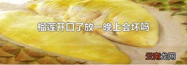 榴莲开口了放一晚上会坏吗