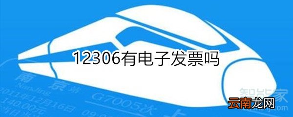 12306有电子发票吗