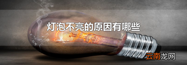 灯泡不亮的原因有哪些