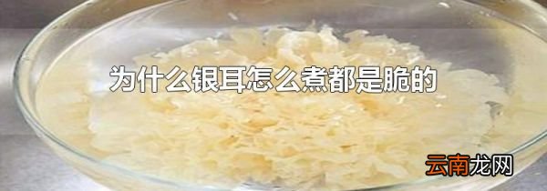 为什么银耳怎么煮都是脆的
