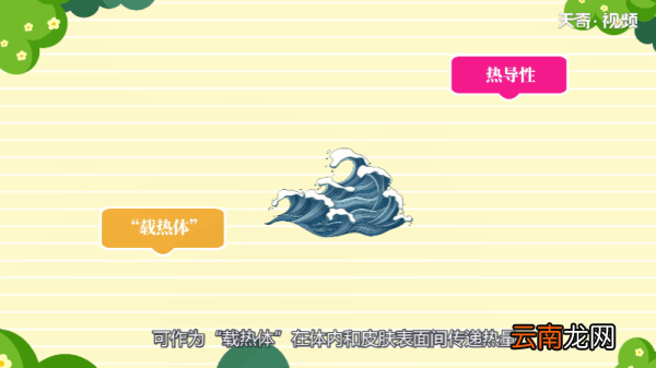 为什么水是透明的 为何水是透明的