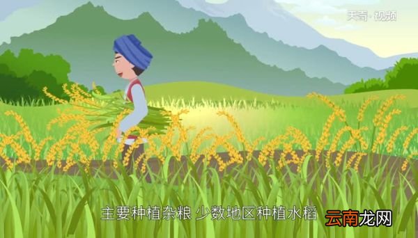 毛南族主要分布在哪个省 毛南族在什么省份