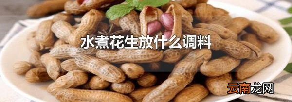 水煮花生放什么调料
