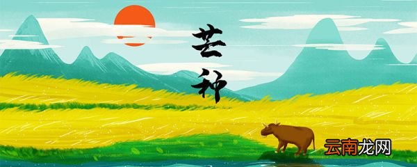 芒种是几月几日 2020年芒种是什么时候