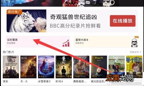 美团APP查看电影实时票房怎么操作？