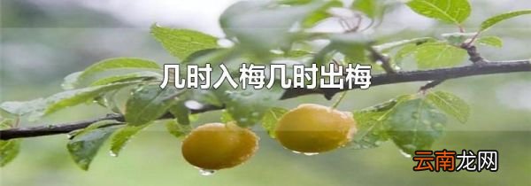 几时入梅几时出梅