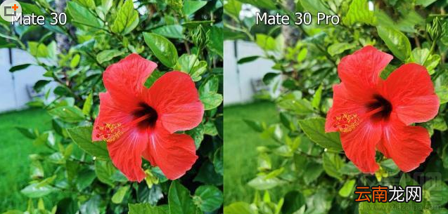 华为mate30pro与mate30拍照哪款好？华为mate30pro与mate30拍照有什么区别