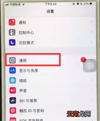 苹果6plus中使用缩放的操作步骤
