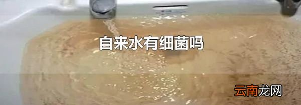 自来水有细菌吗