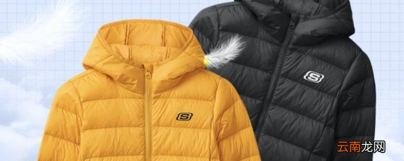 羽绒服可以用金纺吗