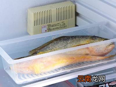 买的活鱼当天不吃怎么办