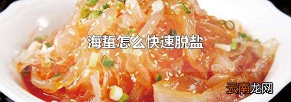海蜇怎么快速脱盐