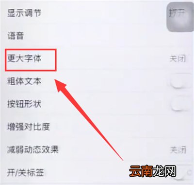 苹果6plus中调整字体大小的详细步骤