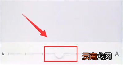 苹果6plus中调整字体大小的详细步骤