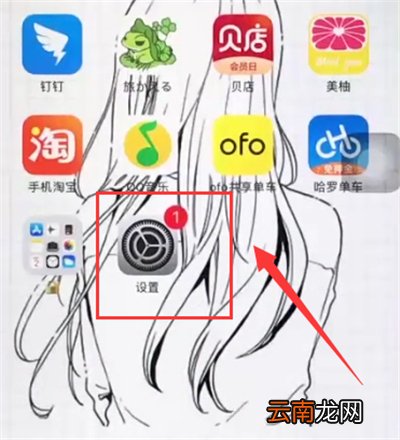 苹果6plus中调整字体大小的详细步骤