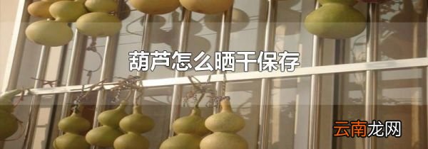 葫芦怎么晒干保存
