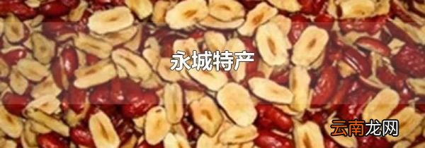 永城特产