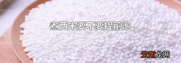 煮西米要不要提前泡