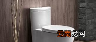 马桶被卫生纸堵住了怎么办?
