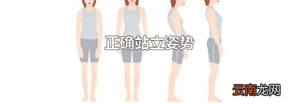 正确站立姿势