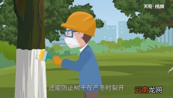 石灰水是什么 石灰水是做什么的